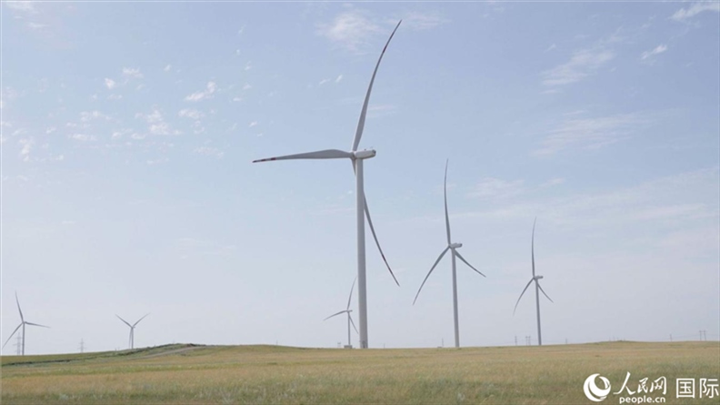 阿克莫拉州風電項目群風機。 人民網(wǎng)記者 葛泰佚攝