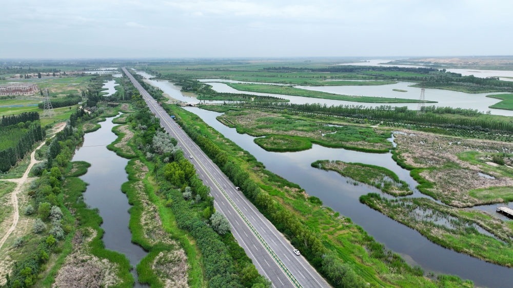 這是2024年6月13日拍攝的黃河寧夏段濱河大道（無人機(jī)照片）。近年來，寧夏努力建設(shè)黃河流域生態(tài)保護(hù)和高質(zhì)量發(fā)展先行區(qū)，全力打好黃河保護(hù)持久戰(zhàn)。新華社記者 王鵬 攝
