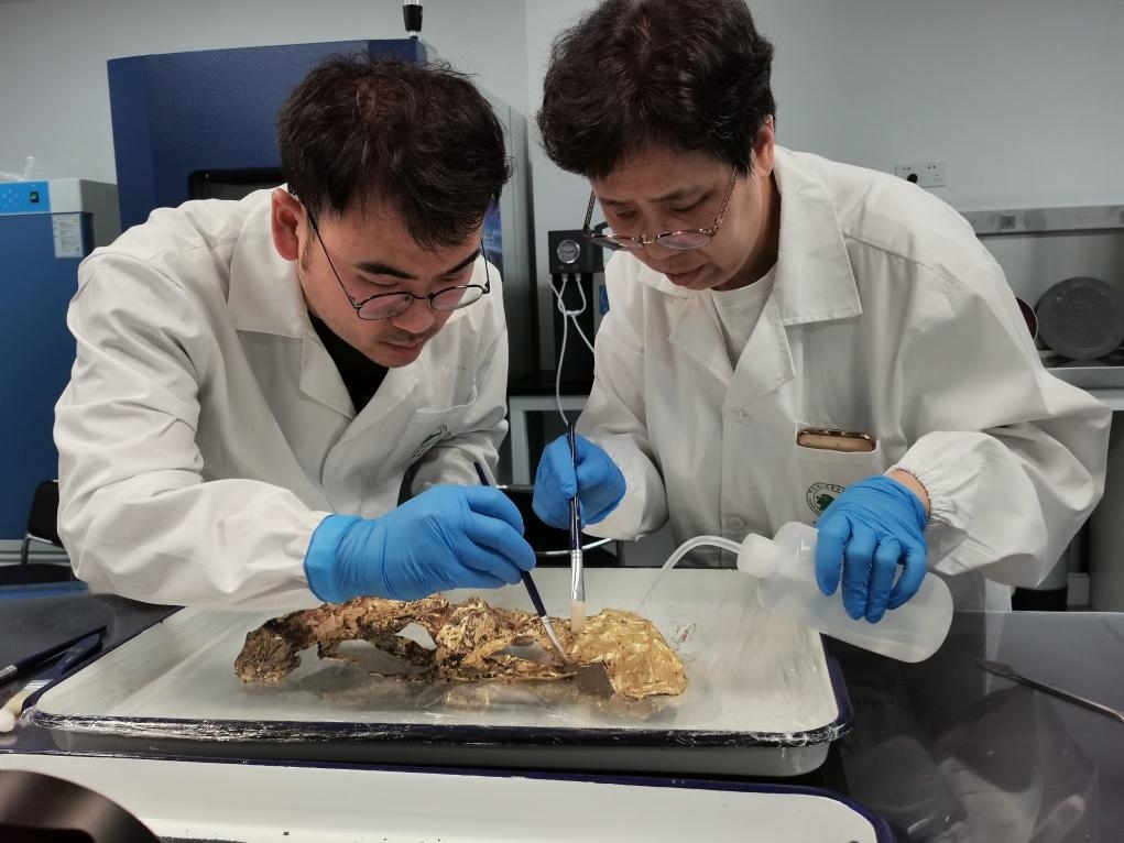 2023年7月，馬燕如（右）帶著魯海子（左）修復(fù)三星堆遺址出土的黃金面具。新華社發(fā)（四川省文物考古研究院供圖）