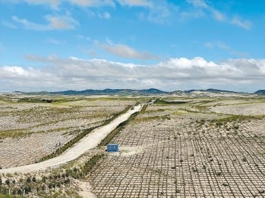 剛剛竣工的其白線穿沙公路。