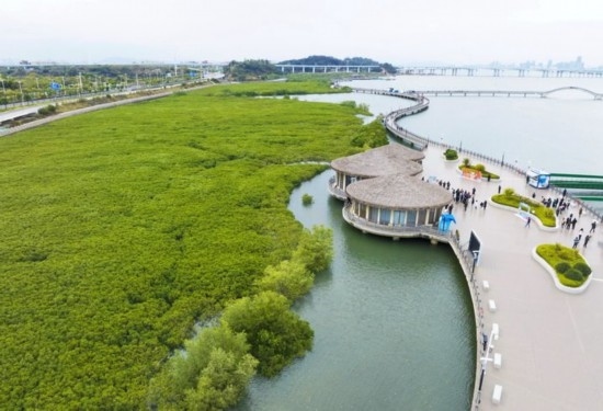 2024年1月23日拍攝的廈門市翔安區(qū)下潭尾紅樹林公園（無人機照片）。新華社記者 林善傳 攝