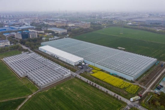 2024年3月28日，空中俯瞰嘉興南湖區(qū)湘家蕩農業(yè)數(shù)字化工廠（無人機照片）。該農業(yè)數(shù)字化工廠占地總面積約62畝，包含智慧農業(yè)生產、物聯(lián)網(wǎng)智能管理、自動分揀包裝、保鮮儲藏物流、高科技示范展示等五大功能區(qū)，可直接或間接培養(yǎng)帶動新型職業(yè)技術農民500人以上。新華社記者 徐昱 攝