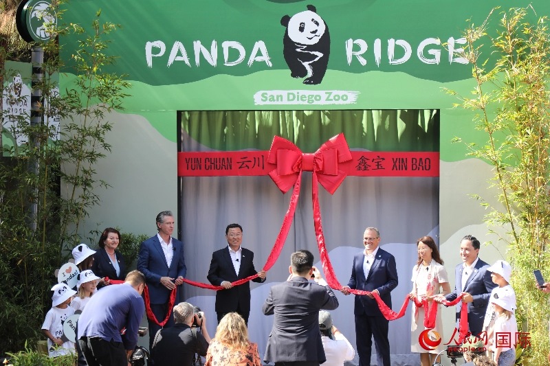 1、中國駐美國大使謝鋒、加州州長紐森、圣迭戈市市長格洛利亞等人共同為“熊貓嶺”開館剪彩。 人民網記者 李志偉攝