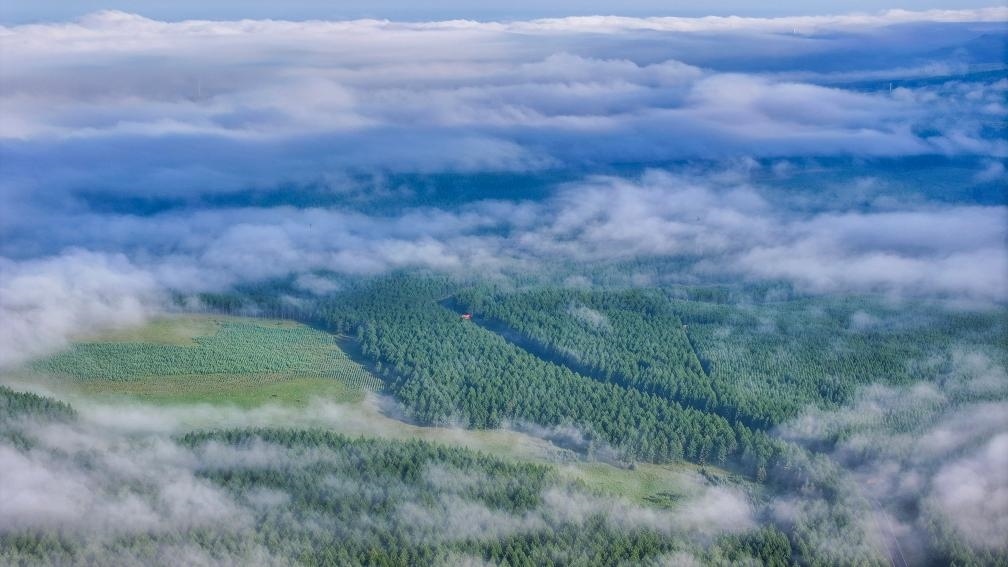 2024年7月26日拍攝的塞罕壩國家級自然保護(hù)區(qū)景色。新華社發(fā)（劉滿倉 攝）