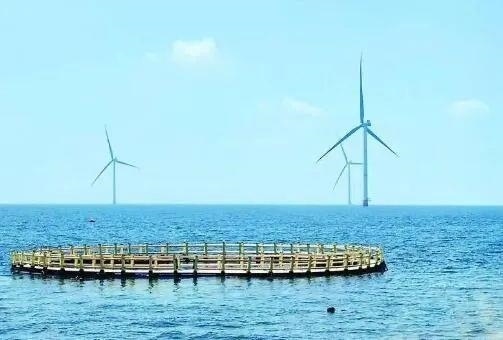 △山東萊州風電項目實現(xiàn)了海上風電和海洋牧場融合發(fā)展。
