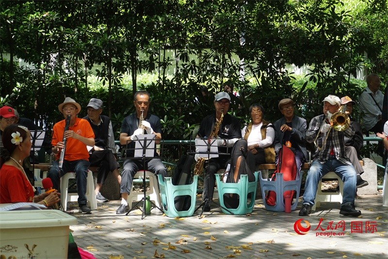 成都居民在公園里演奏歌曲。人民網(wǎng) 王禹蘅攝