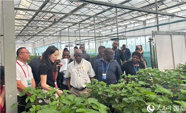 研討班成員在大棚中了解植物種植技術(shù)。人民網(wǎng) 曹欣悅攝