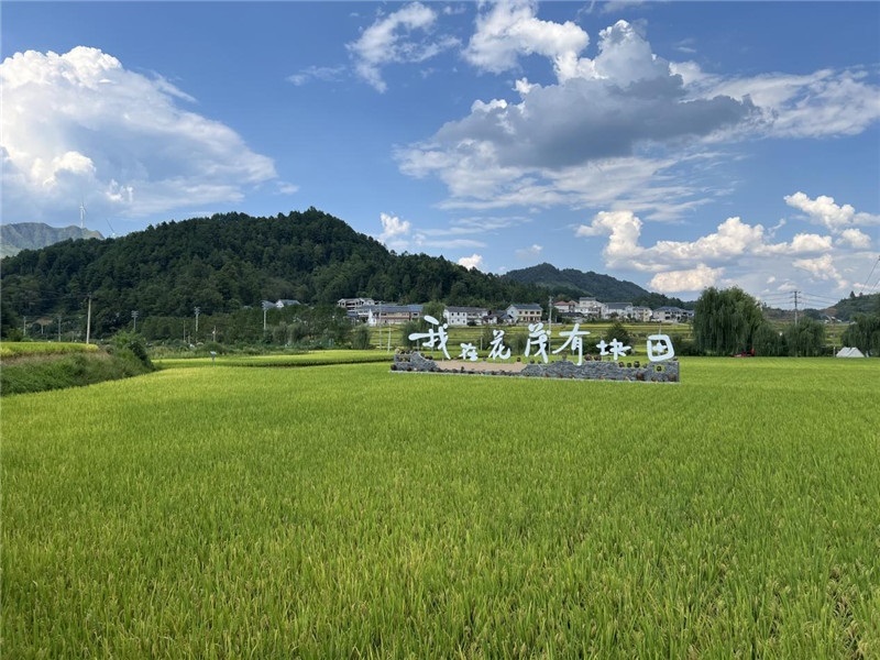 青瓦白磚的黔北民居、風(fēng)中搖曳的稻田、抬手可觸的大片云朵……才剛下車，格魯吉亞“經(jīng)濟(jì)中心網(wǎng)”總編輯莉安娜·喬爾喬利亞尼就被眼前的景色拖住了步履，喃喃細(xì)語(yǔ)：“實(shí)在太美了，讓我內(nèi)心平靜，在這里生活一定非常安逸和幸福。”（邱輝攝）