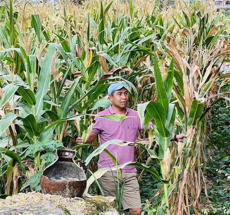 不是攀登石林高臺(tái)，就是鉆入玉米莊稼地，吉爾吉斯斯坦《自由之山報(bào)》總編輯納拉雷·阿桑巴耶夫“身手不凡”，與生長(zhǎng)旺盛的玉米構(gòu)成了花茂村的鄉(xiāng)間野趣。（張亞欣攝）