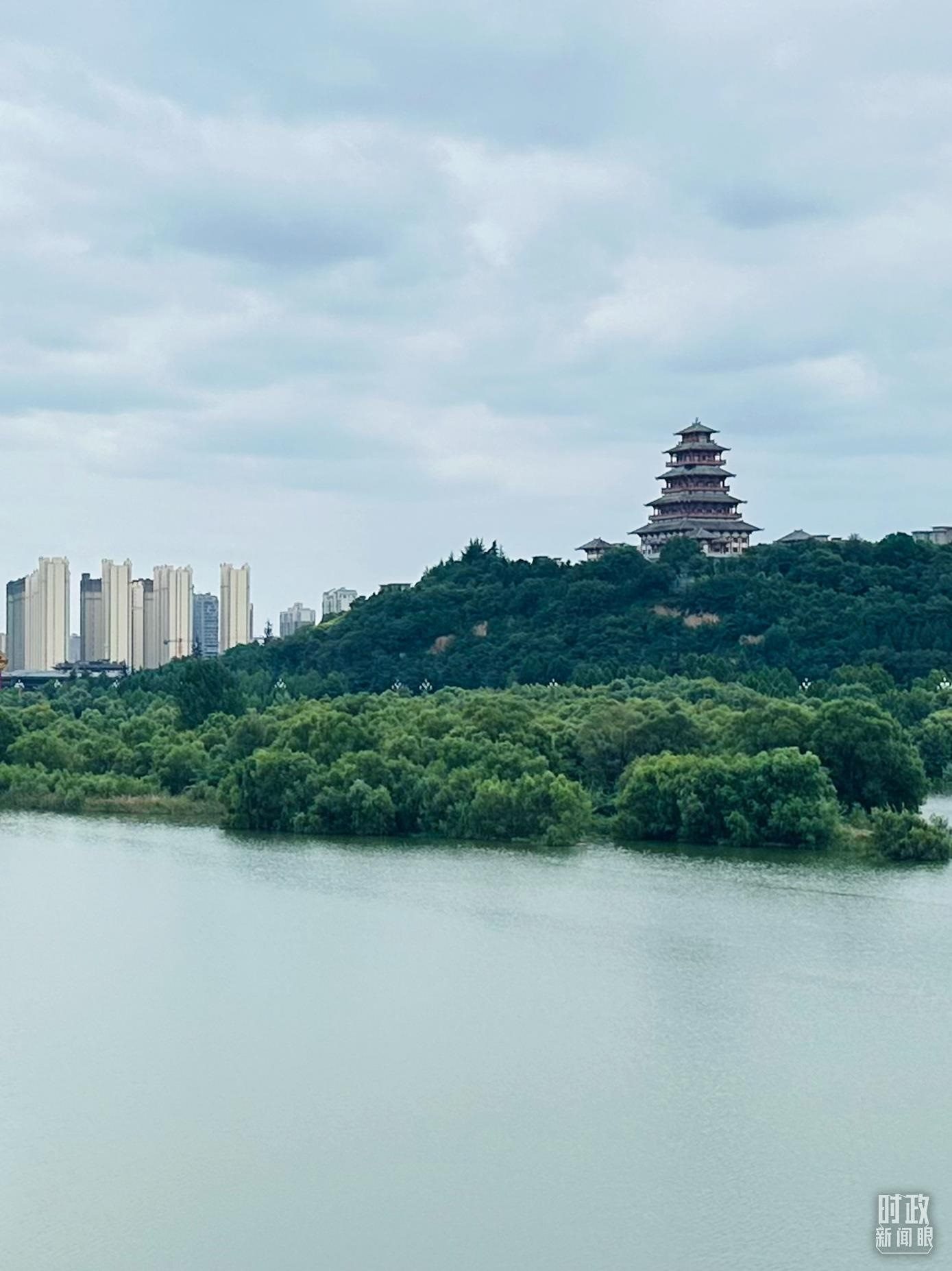 △渭河寶雞段長224公里，目前建成17處渭河灘區(qū)生態(tài)涵養(yǎng)區(qū)。（總臺央視記者范一鳴拍攝）