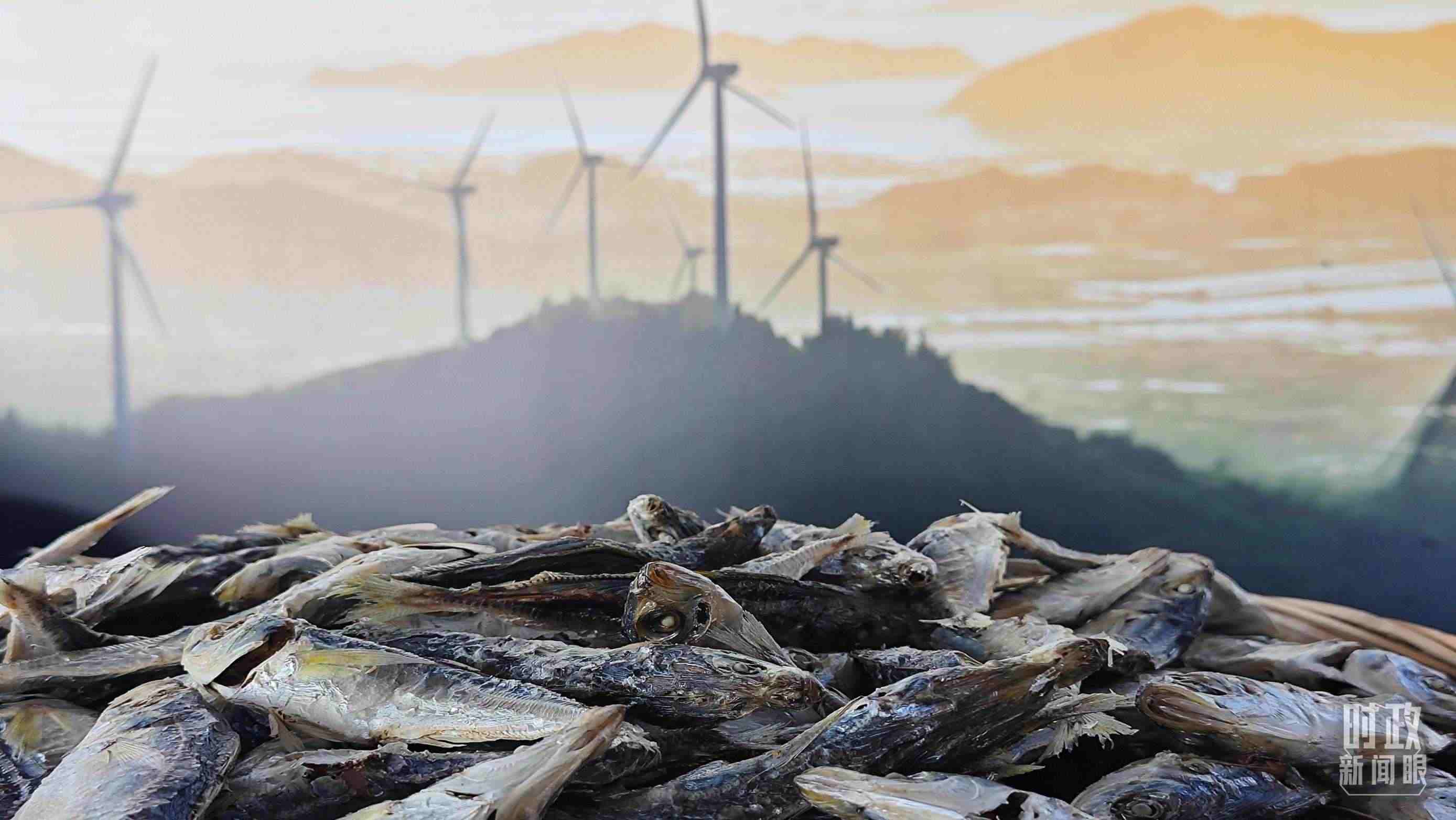 △澳角村的海產(chǎn)品。（總臺(tái)央視記者許永松拍攝）