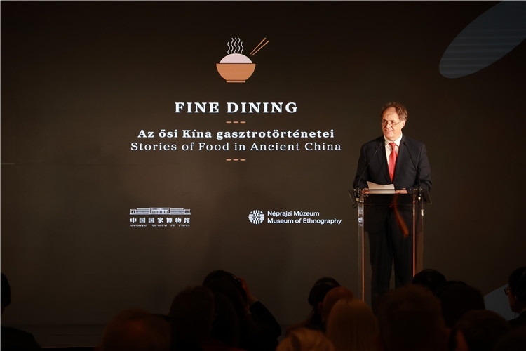 匈牙利文化和創(chuàng)新部副國務(wù)秘書喬鮑致辭。圖片由中國駐匈牙利大使館提供。