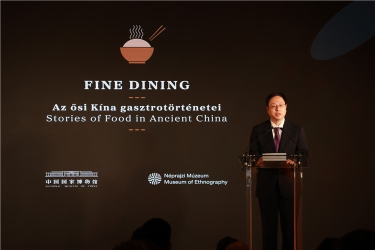 中國國家博物館副館長楊帆致辭。圖片由中國駐匈牙利大使館提供。