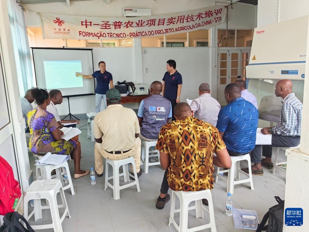 中國援圣普農(nóng)牧業(yè)技術(shù)項(xiàng)目組專家段振華（后左）在圣多美和普林西比的國家獸醫(yī)實(shí)驗(yàn)室開展動(dòng)物疫病監(jiān)測技術(shù)培訓(xùn)（2024年6月21日攝）。新華社發(fā)（中國援圣普農(nóng)技組供圖）