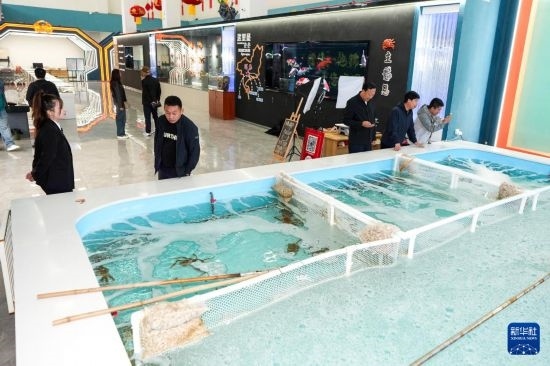 9月20日，游客在吉林省琿春市的帝王蟹保稅店內選購帝王蟹。新華社記者 許暢 攝