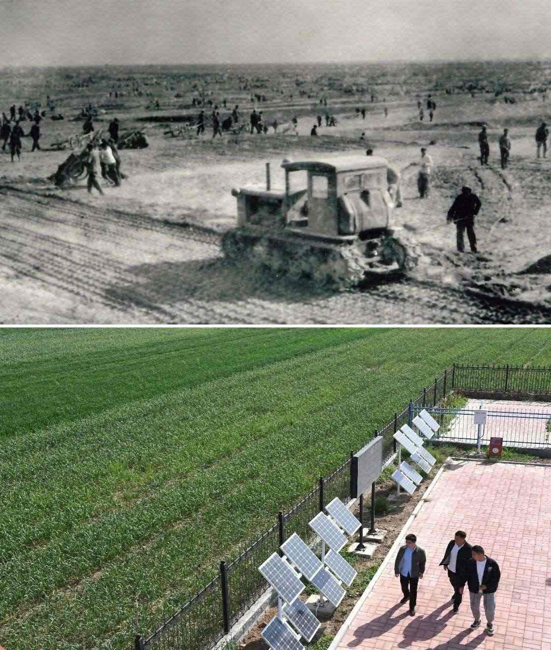 上圖為二十世紀(jì)六十年代蘭考改造鹽堿地的情景（資料照片）；下圖為2024年4月18日拍攝的蘭考縣紅廟鎮(zhèn)高標(biāo)準(zhǔn)農(nóng)田示范區(qū)。（新華社記者 朱祥 攝）