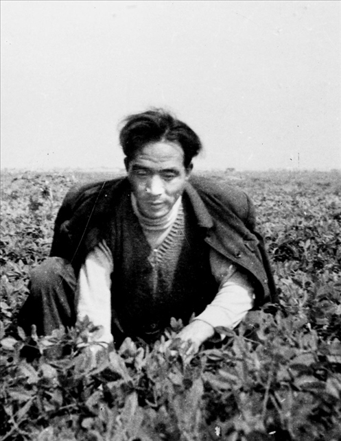 在蘭考期間，焦裕祿在田間勞動(dòng)的情景。