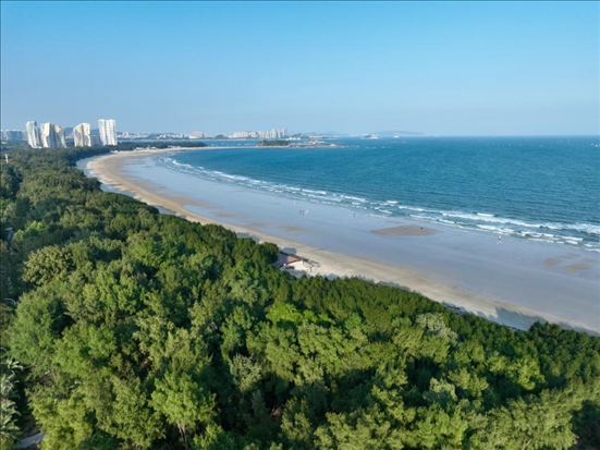 郁郁蔥蔥的東山縣沿海防護(hù)林（無(wú)人機(jī)拍攝）。新華社記者 姜克紅 攝