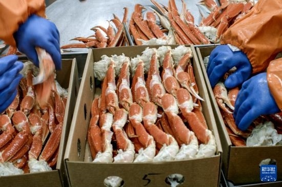 俄羅斯蟹業(yè)集團的工作人員在生產線上加工產品（資料照片）。新華社發(fā)（俄羅斯蟹業(yè)集團供圖）