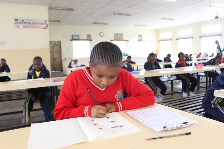 考場現(xiàn)場。埃格頓大學孔子學院供圖