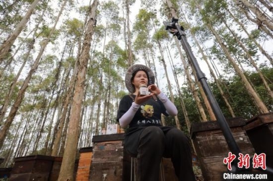 吳素英在網(wǎng)絡(luò)平臺直播介紹蜜蜂和養(yǎng)蜂情況。湯曉逵 攝