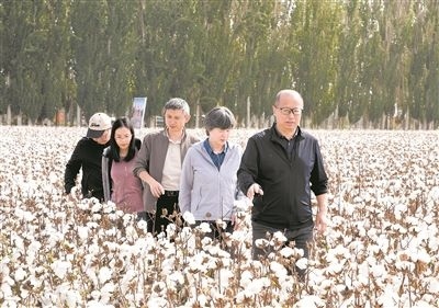李召虎團(tuán)隊(duì)成員在棉田了解試驗(yàn)情況。 受訪單位供圖