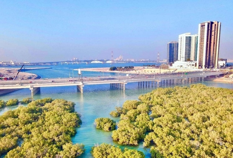 圖為瑞姆橋施工現(xiàn)場(chǎng)。中國(guó)土木供圖