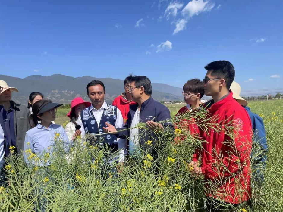 在“科技小院”授課的張福鎖。人民網(wǎng)記者李依環(huán) 攝