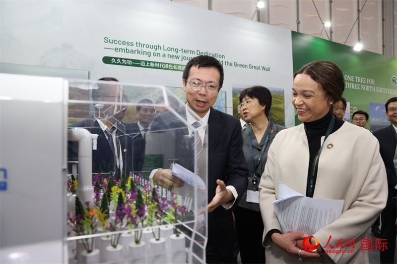 嘉賓參觀中國館。人民網(wǎng)記者任皓宇攝