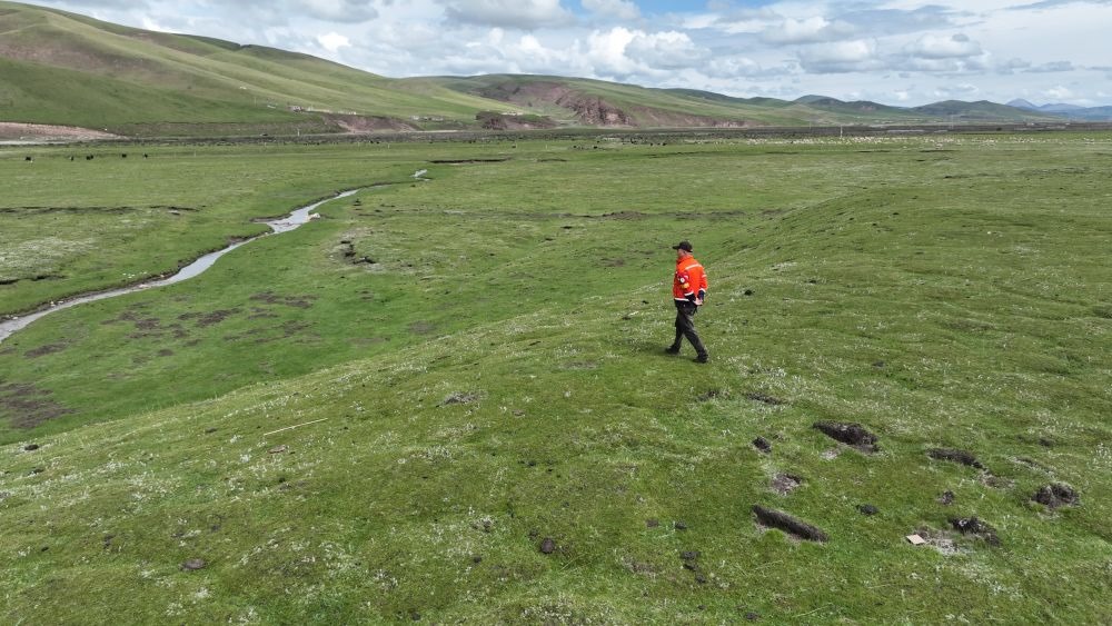 9月24日，生態(tài)管護(hù)員那瓦才郎在草場(chǎng)上巡護(hù)。（受訪者供圖）