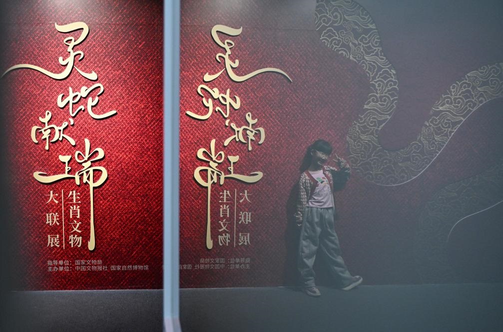 1月18日，一名小朋友在國(guó)家自然博物館舉辦的“靈蛇獻(xiàn)瑞——2025乙巳蛇年生肖文物大聯(lián)展”展覽中拍照留念。（新華社記者 陳鐘昊 攝）