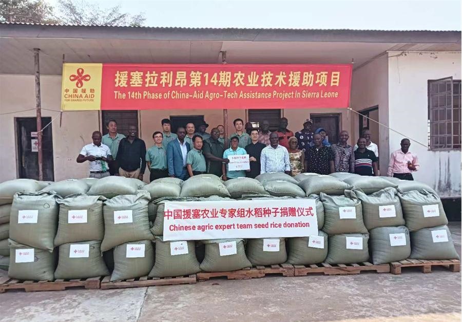 中國援塞拉利昂農(nóng)業(yè)專家組在塞南方省博城舉辦水稻種子捐贈(zèng)儀式。中國援塞農(nóng)業(yè)專家組供圖