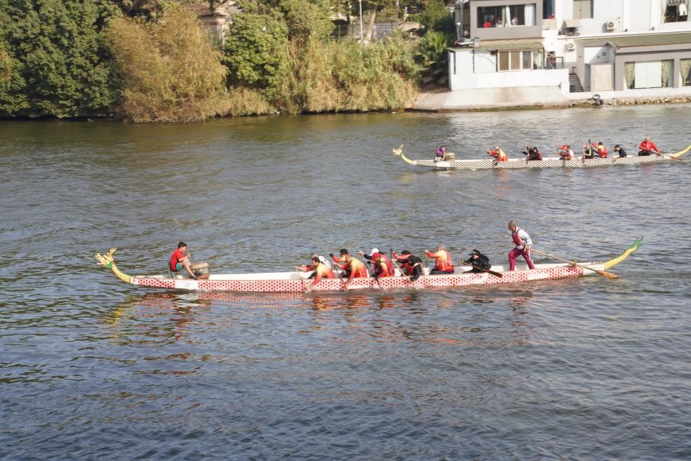 活動(dòng)現(xiàn)場(chǎng)龍舟競(jìng)技，共慶春節(jié)。開(kāi)羅中國(guó)文化中心供圖