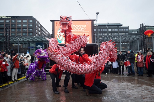 舞龍、舞獅表演。中國駐芬蘭大使館供圖
