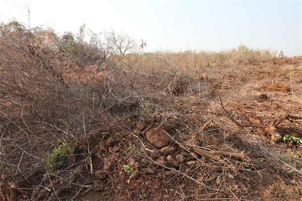 施工現(xiàn)場。張曉昆攝