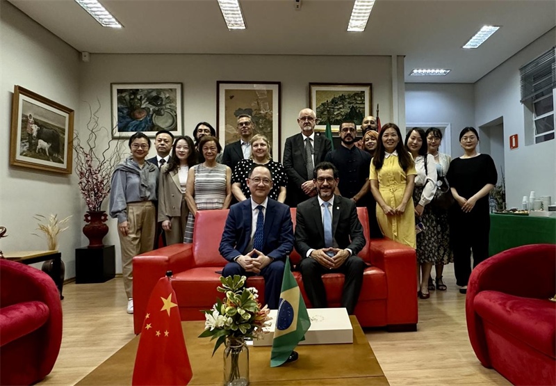 圖為參加座談會的來賓合影留念。 圣保羅州立大學孔子學院供圖