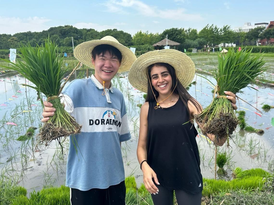 卡友琪在插秧。受訪者供圖