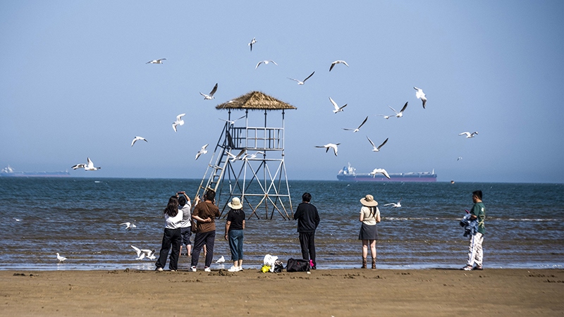 2024年5月12日，河北秦皇島，北戴河鴿子窩公園成群海鷗在天空中自由翱翔，與大海、藍(lán)天構(gòu)成了一幅美麗的畫(huà)卷。