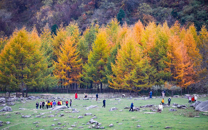 2023年10月27日，深秋時(shí)節(jié)的陜西秦嶺太子嶺五彩斑斕，進(jìn)入最佳觀賞期。