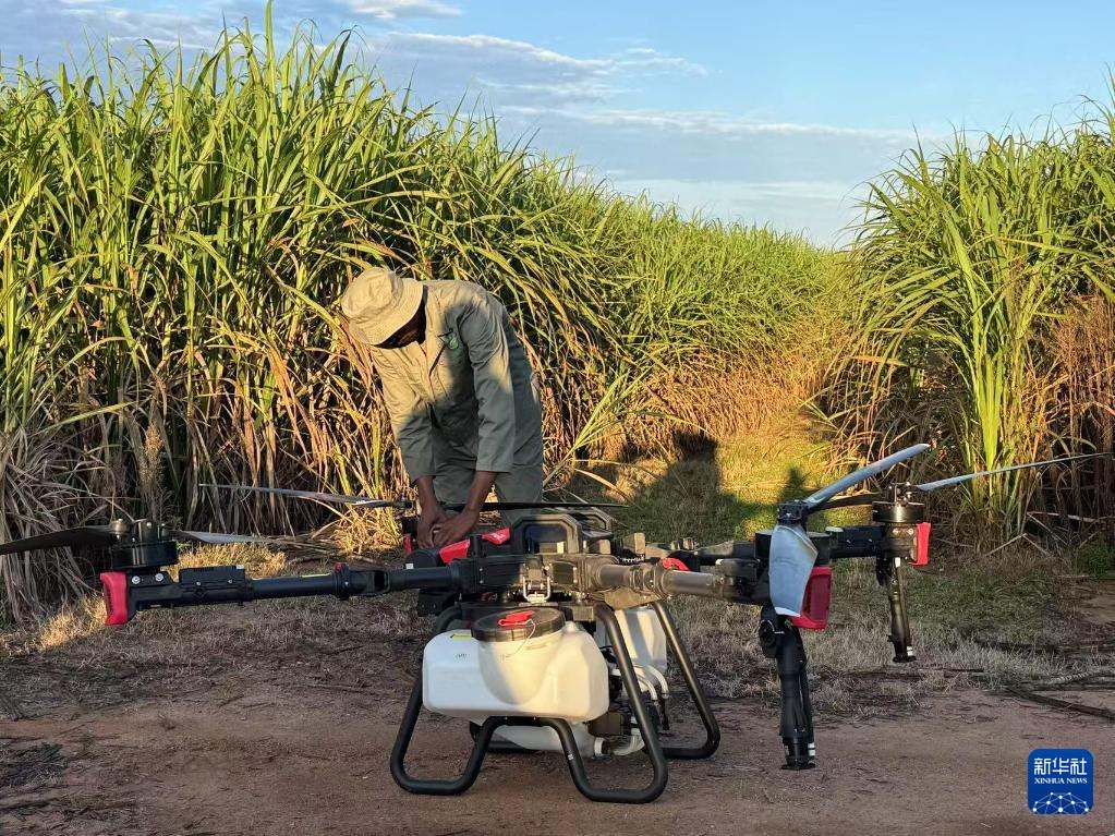 3月25日，在南非夸祖魯-納塔爾省的方廷希爾莊園，工作人員為無人機做起飛作業(yè)前的準備。新華社記者 白舸 攝