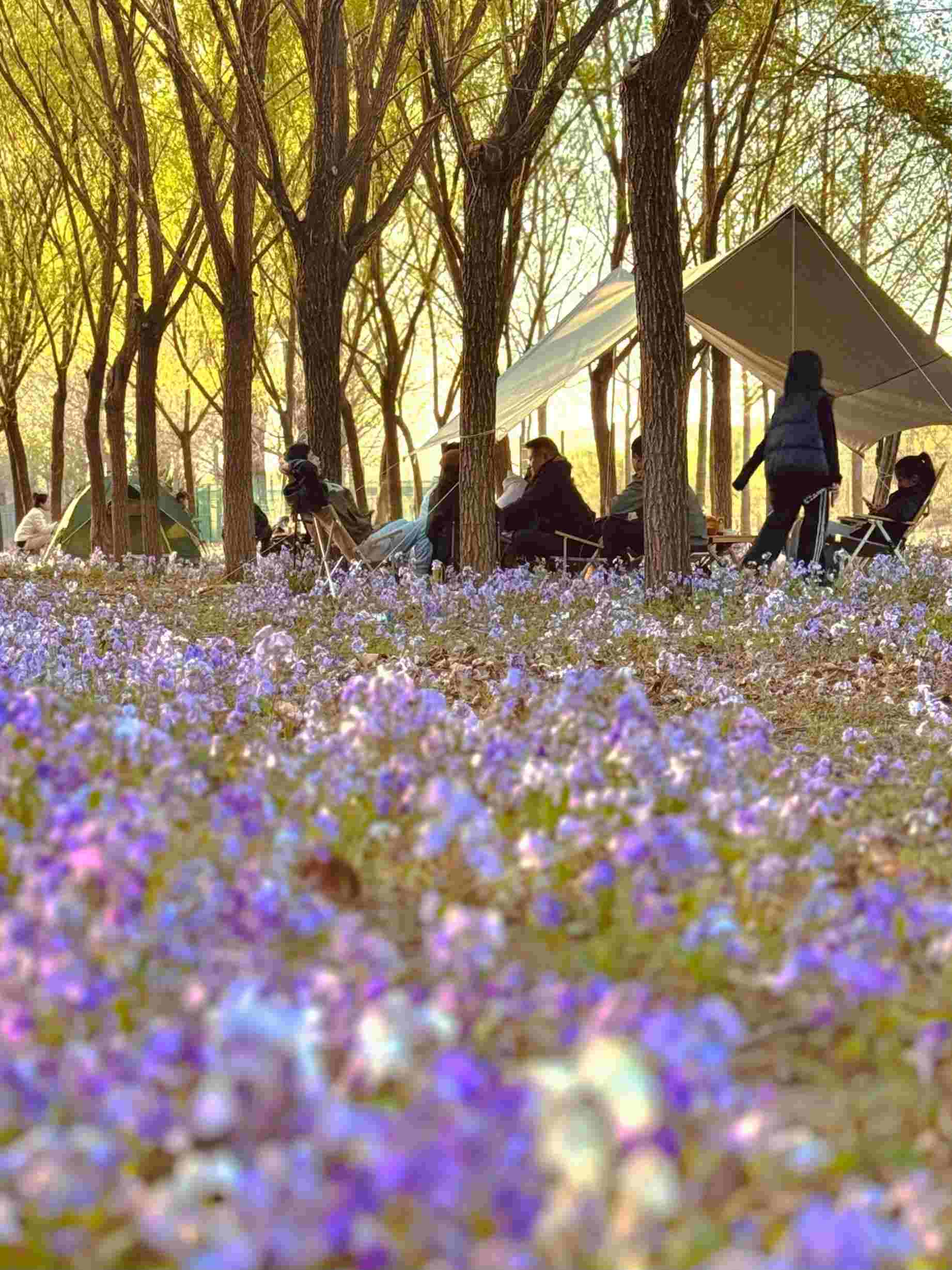 清明假期期間，范女士一家在北京溫榆河邊露營(yíng)。受訪者供圖