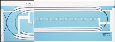 微波光量子傳感器的光學(xué)顯微照片。圖片來源：美國哈佛大學(xué)