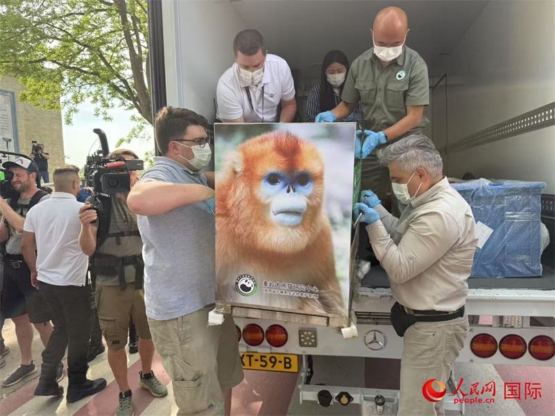 圖為活動現(xiàn)場。人民網(wǎng)記者 牛瑞飛攝