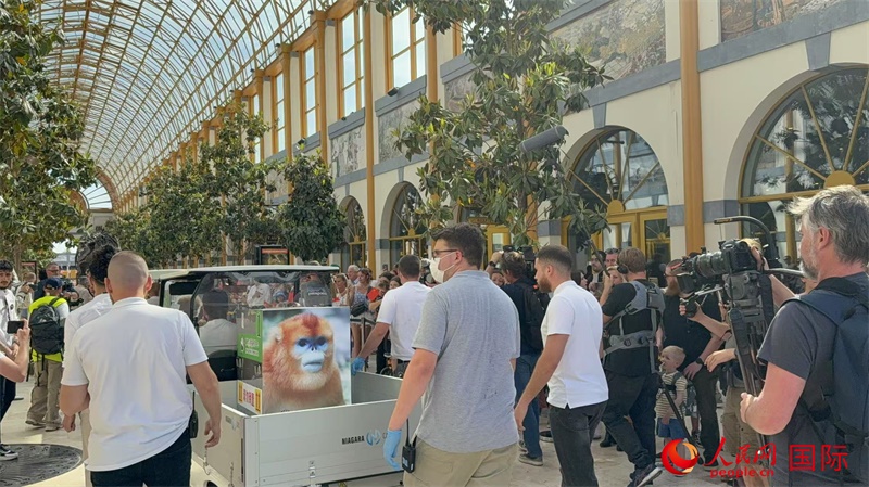 圖為活動現(xiàn)場。人民網(wǎng)記者 牛瑞飛攝