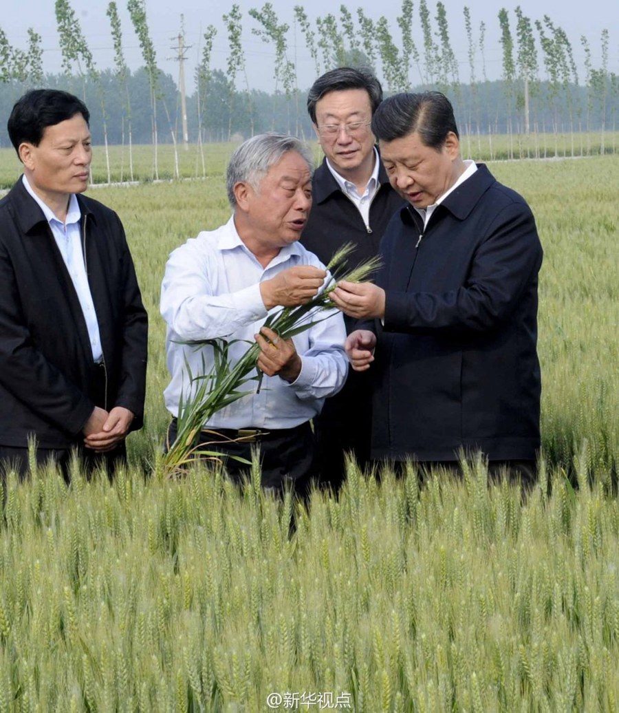 2014年5月，習(xí)近平總書記在河南省尉氏縣張市鎮(zhèn)高標(biāo)準(zhǔn)糧田察看小麥長勢。