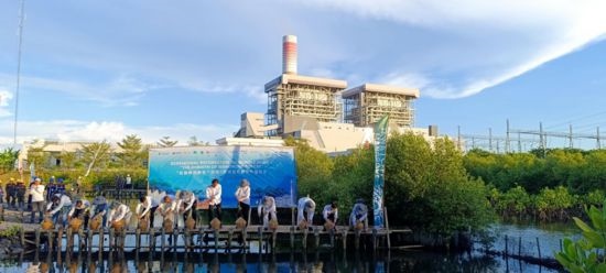 5月18日，中印尼嘉賓在爪哇7號(hào)燃煤電站舉行紅樹林補(bǔ)植儀式。記者 曹凱 攝